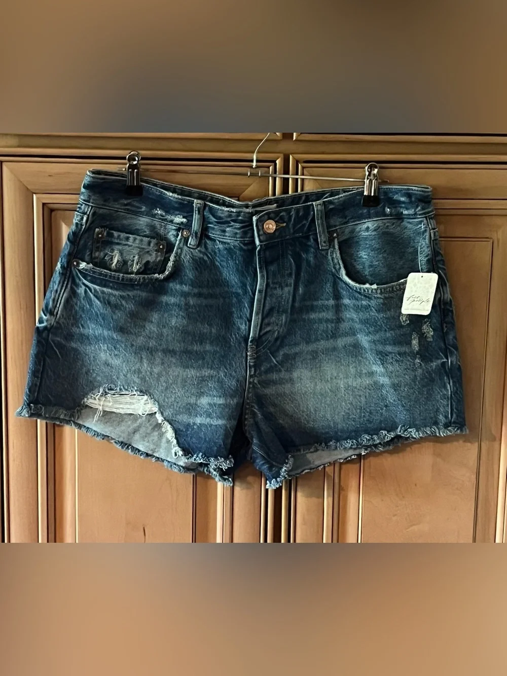 NWT Free People Good Times Shorts